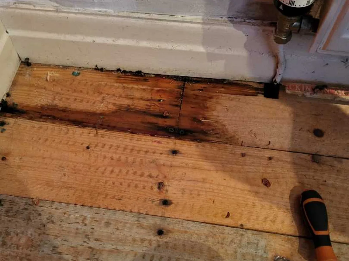 leak found at lounge floor with water-damaged and blackened wooden floorboards exposed