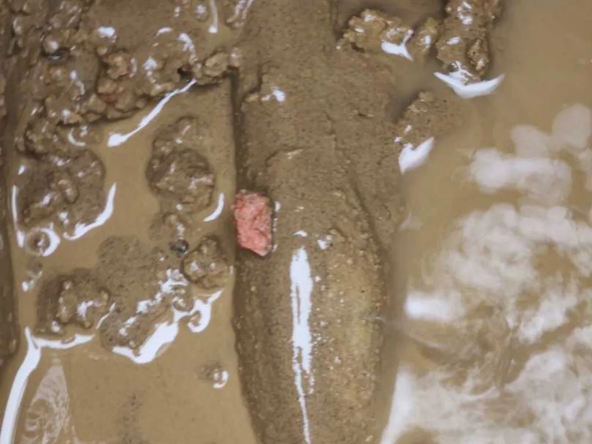 leak located at flooded excavation exposing leaking lead pipe beneath driveway