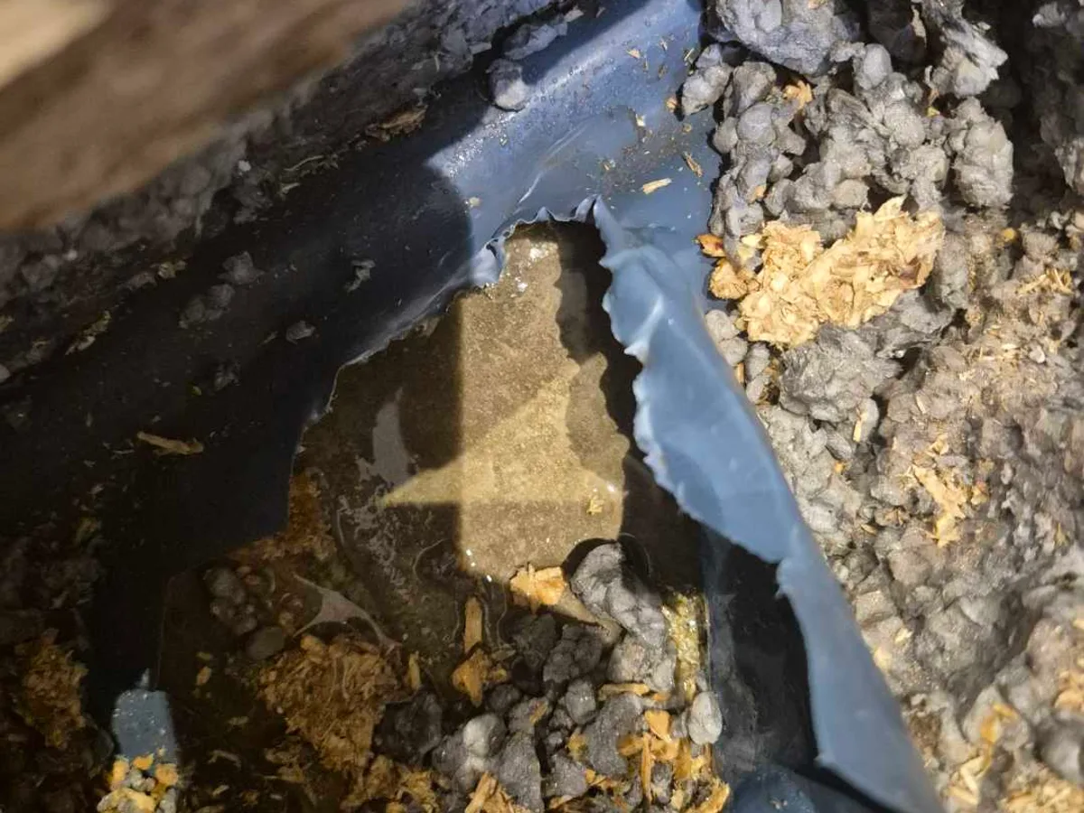 leak located at failed 15mm copper mains pipe surrounded by saturated insulation under kitchen floor