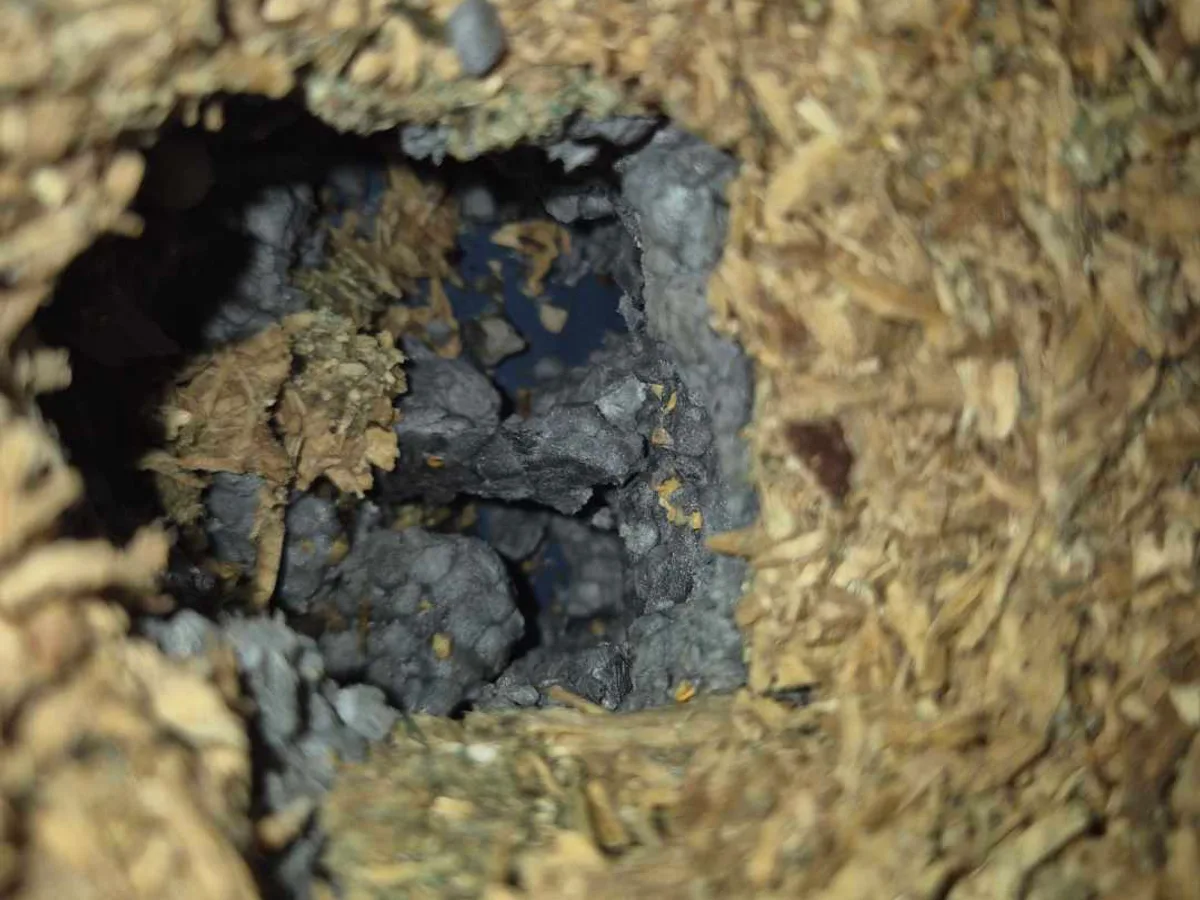 saturated insulation layer beneath chipboard flooring exposed during leak detection survey