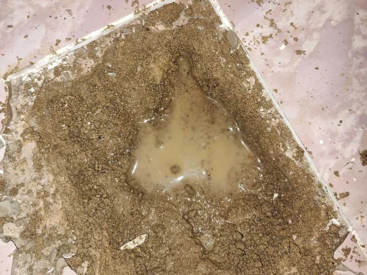 leak found at bathroom floor with water pooling in excavated concrete beneath removed tile