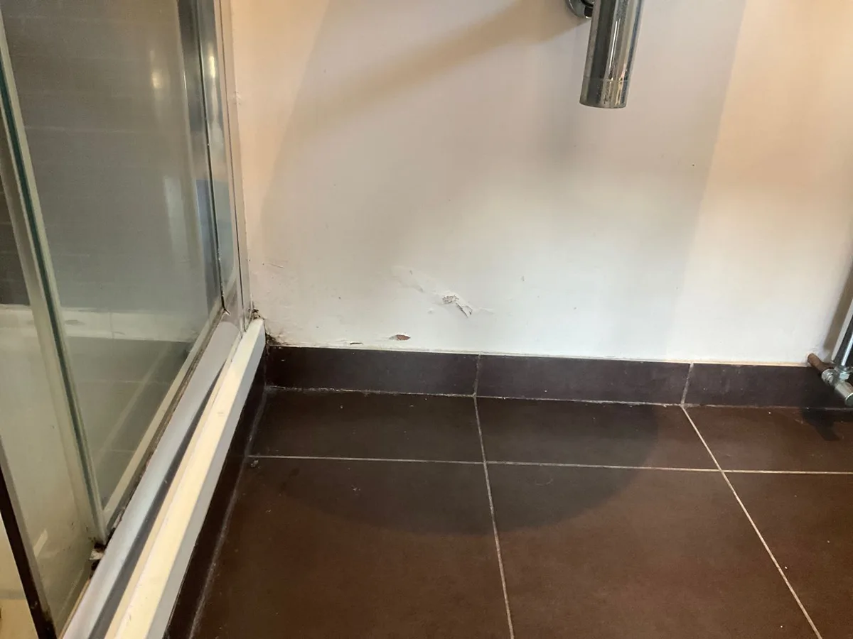 damp patch on ensuite shower room wall at floor level before leak detection works