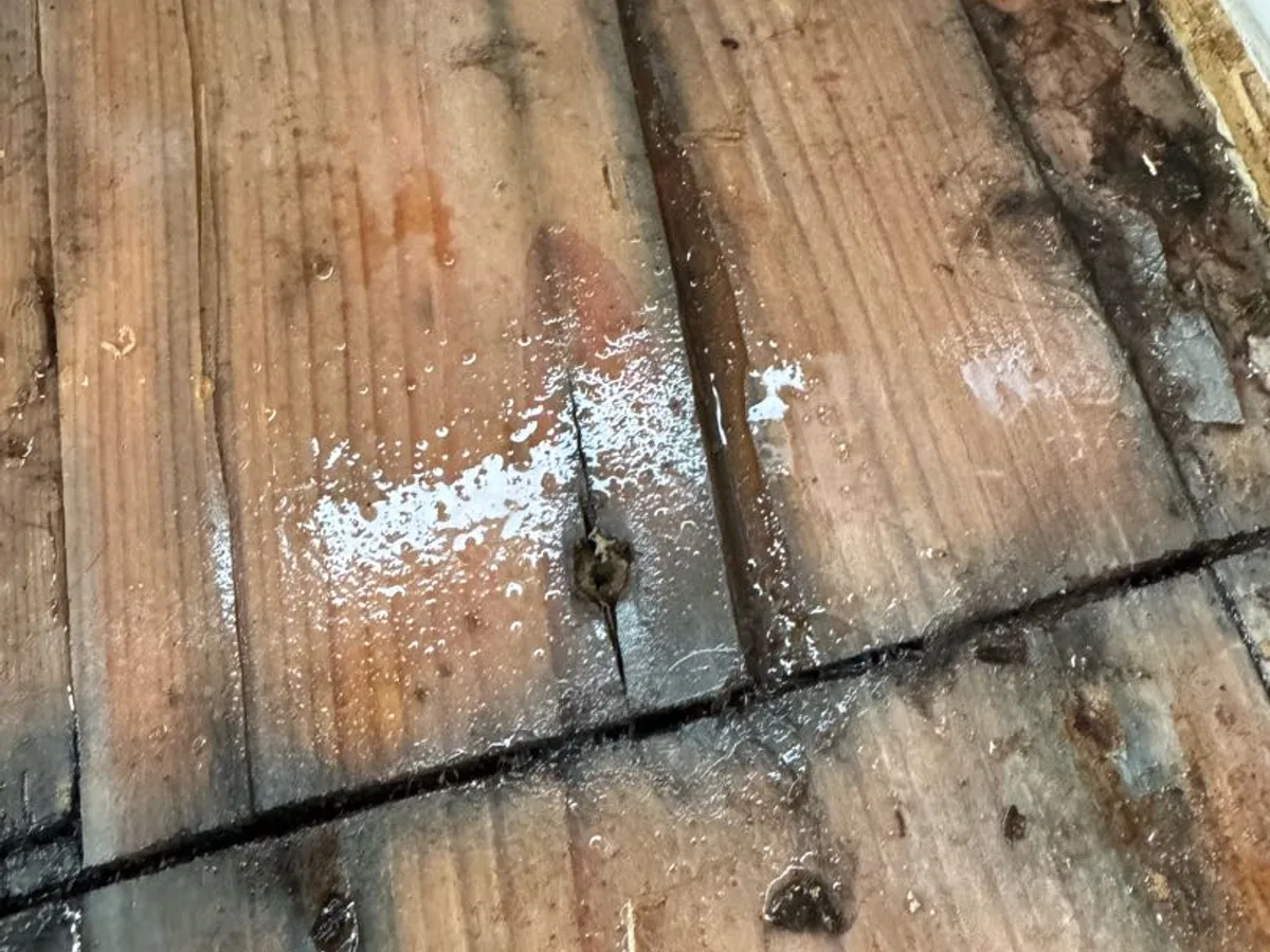 leak located at saturated floorboards and joists beneath bay window area