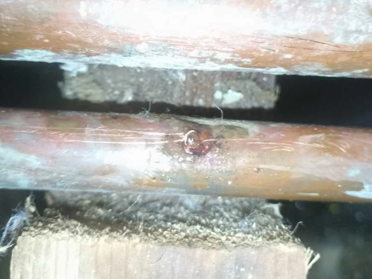 leak located at pinhole corrosion on copper cold mains pipe between floor joists
