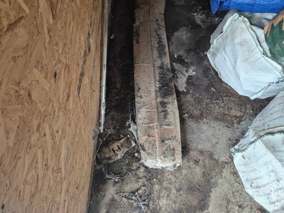 mould-covered timber batten and saturated subfloor in garden room before works started