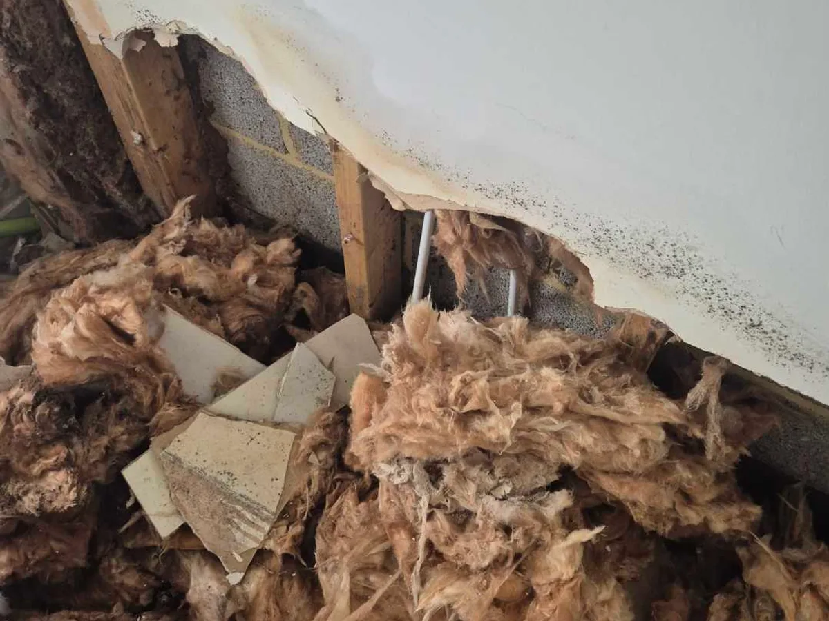 waterlogged glass-fibre insulation and mould-stained wall cavity before leak detection works