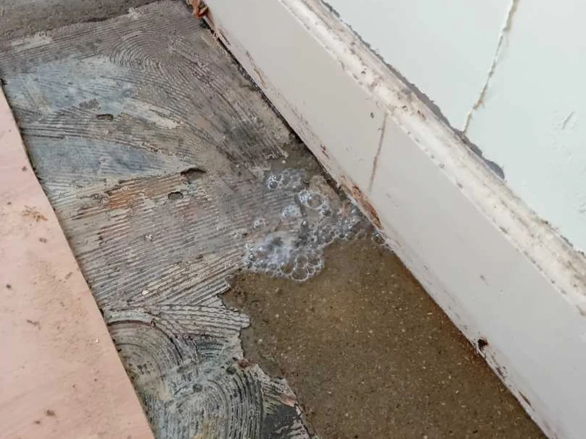 leak located at kitchen subfloor with standing water pooling beneath laminate boards