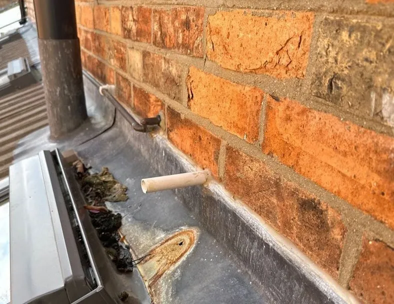 Tracer gas leak detection