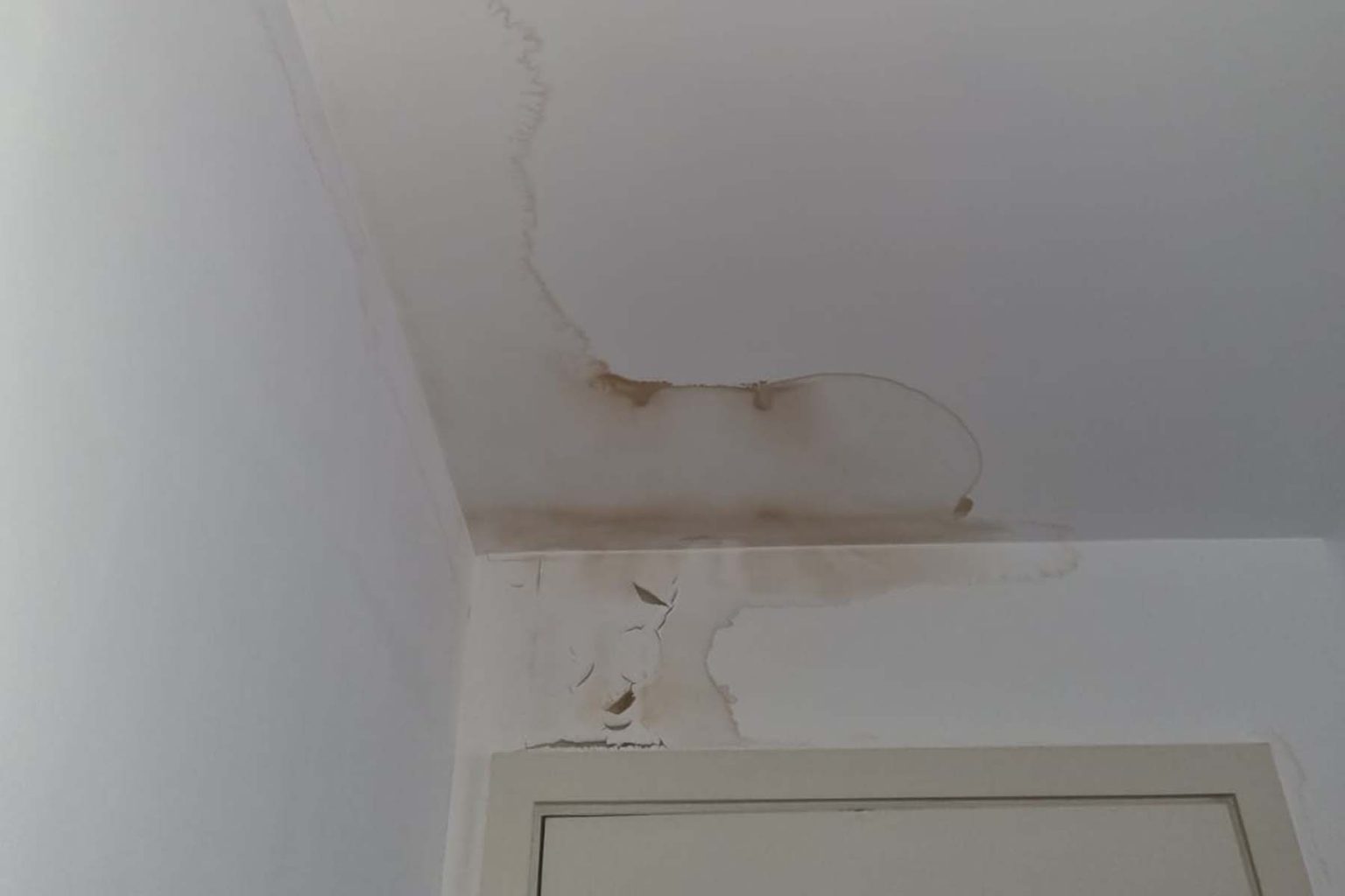 Central Heating Leak Detection We Can Find & Repair Your Leak!