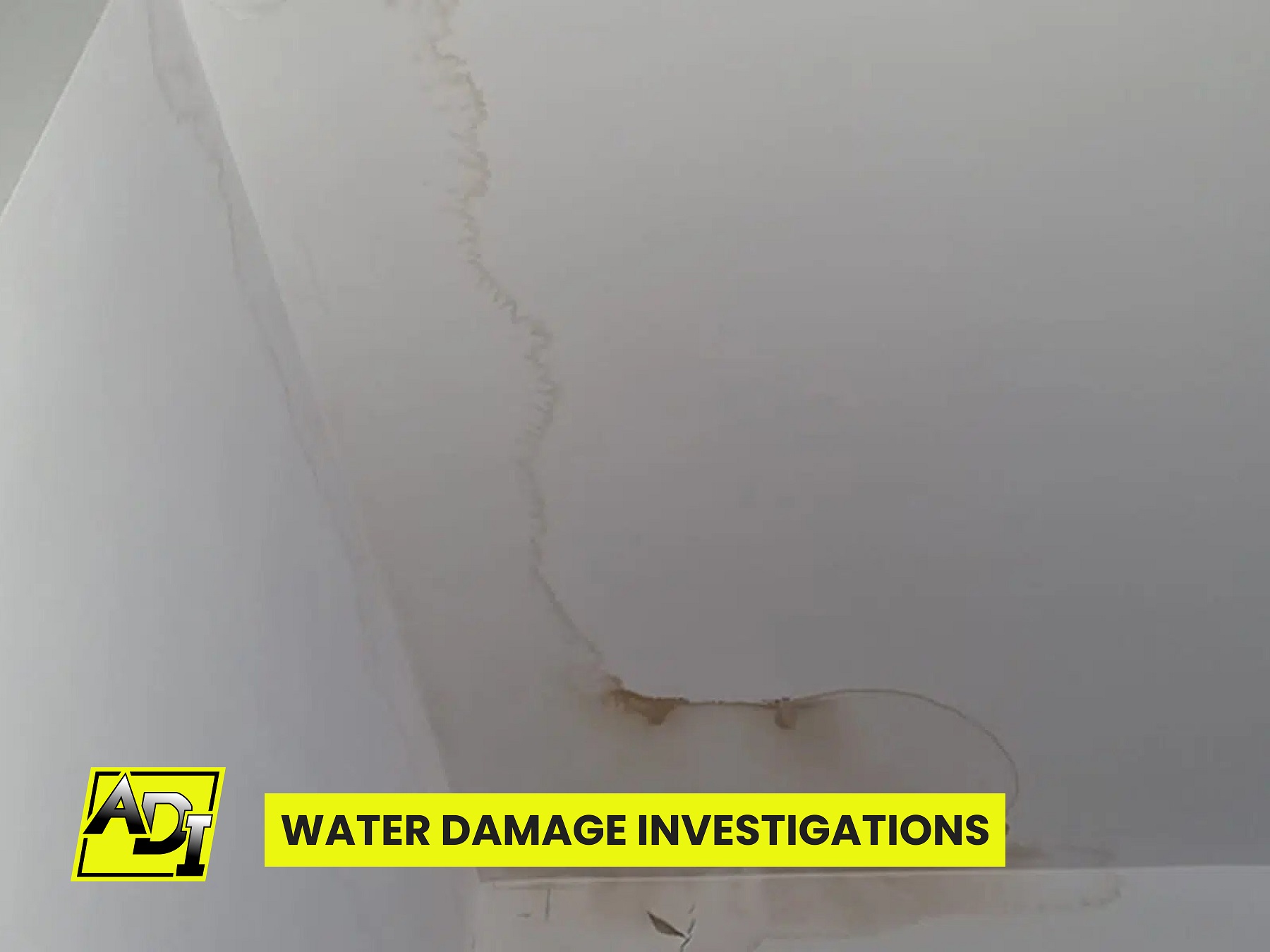 Trace and Access Leak Detection