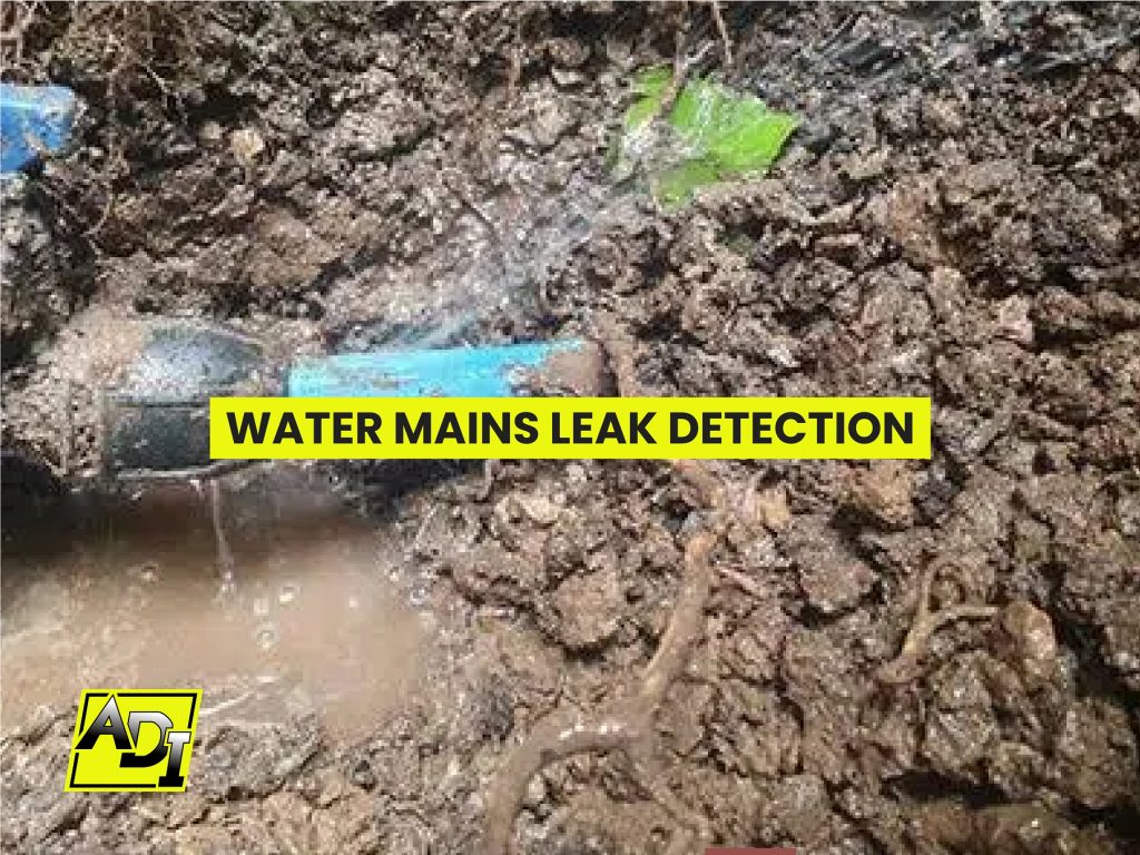 Mains Water Leak Detection